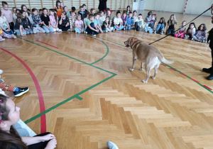 Dzieci z psem podczas spotkania