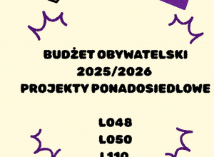 Budżet obywatelski